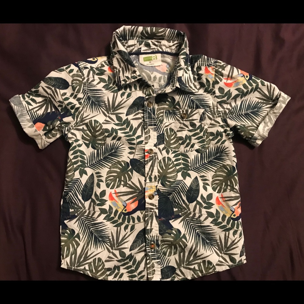 Crazy 8 boys 3T tropical shirt